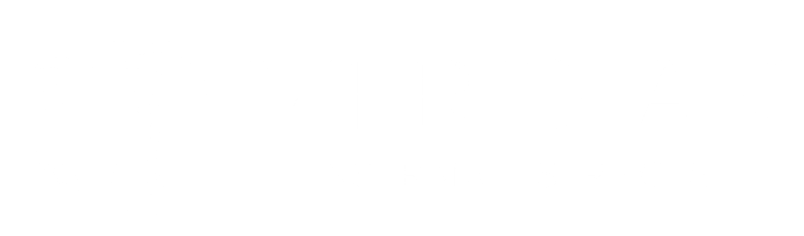 Meridian Insurance Services